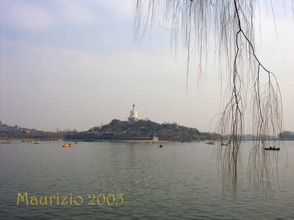 IMG_159.jpg