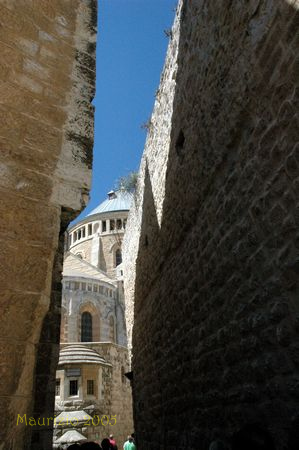 IMG_44.jpg