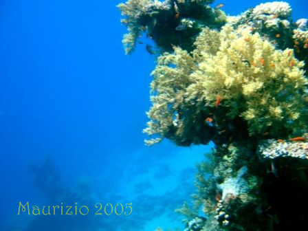 dscn0227.jpg