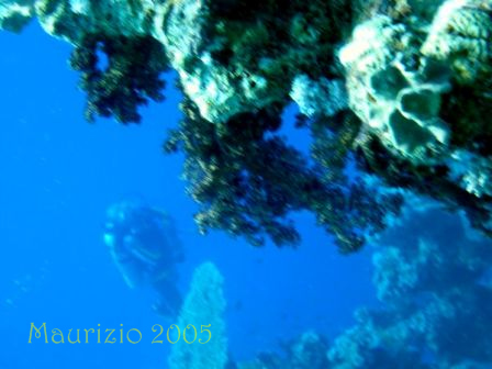 dscn0239.jpg