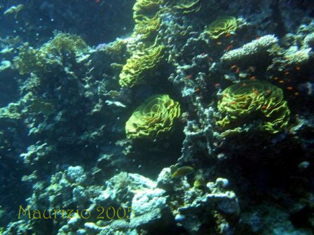 dscn0346.jpg