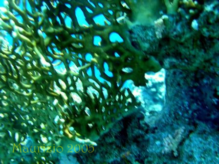 dscn0350.jpg