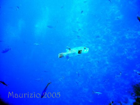dscn0352.jpg