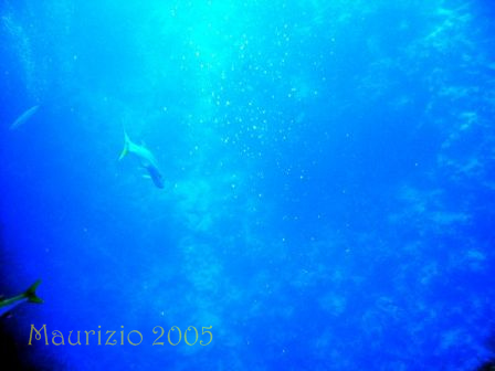 dscn0354.jpg