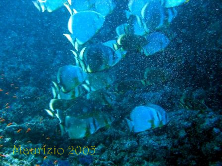 dscn0357.jpg