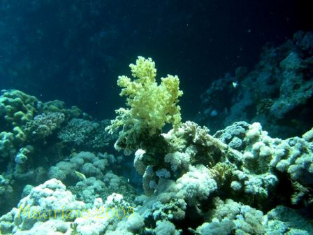 dscn0368.jpg