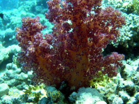 dscn0371.jpg