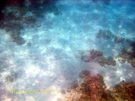 dscn0376.jpg