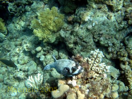 dscn0393.jpg