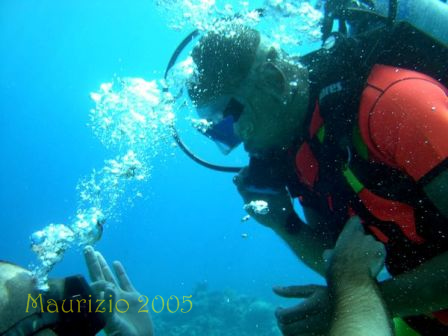 dscn0398.jpg