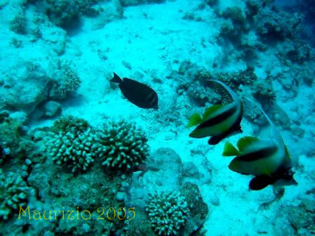 dscn0409.jpg