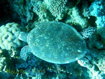dscn0422.jpg