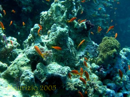 dscn0426.jpg