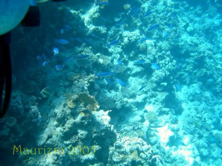 dscn0427.jpg
