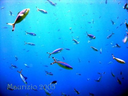 dscn0428.jpg