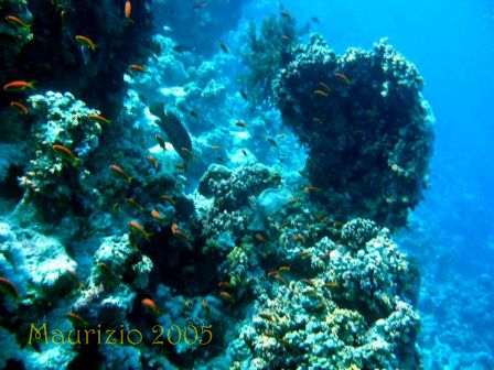 dscn0429.jpg