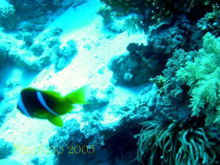 dscn0435.jpg