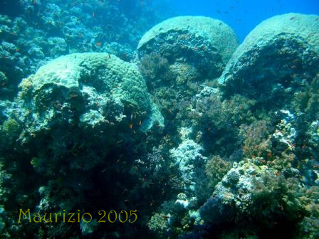 dscn0438.jpg