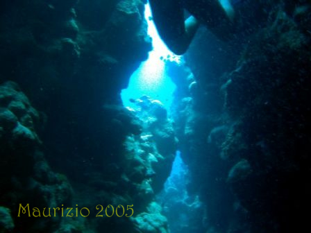 dscn0448.jpg
