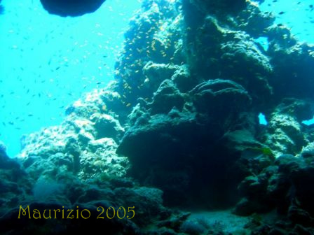 dscn0454.jpg