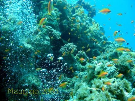 dscn0456.jpg
