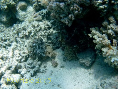 dscn0463.jpg