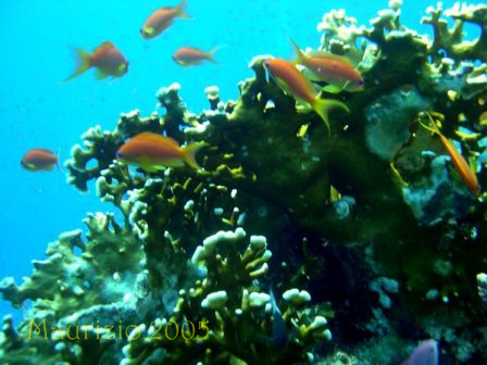 dscn0477.jpg