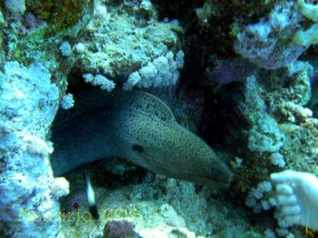 dscn0485.jpg