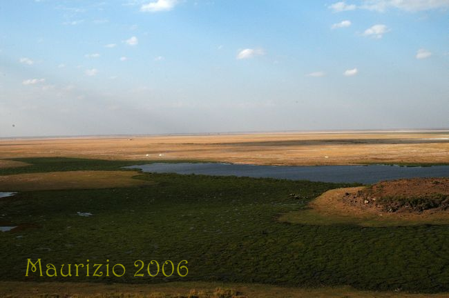 dsca_0710.jpg