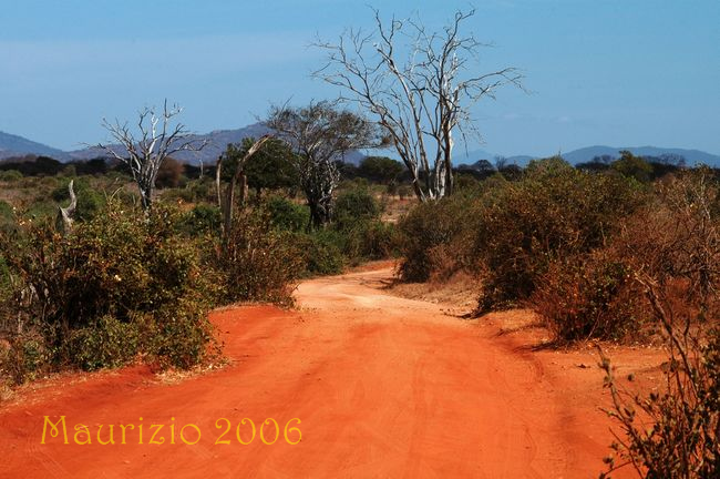 dsca_1021.jpg