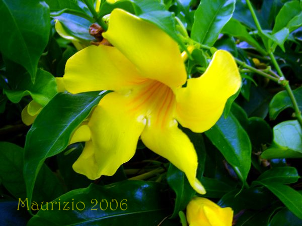 dscn0454.jpg