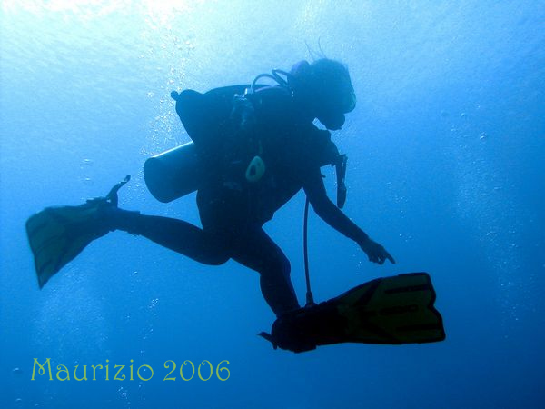 2006_maldive_2_349.jpg