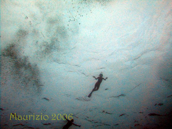 2006_maldive_2_448.jpg