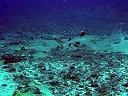 maldive2007Mario005