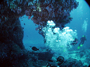 2007_maldive_2_046
