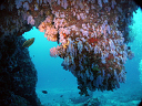 2007_maldive_2_047