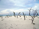 2007_maldive_2_091