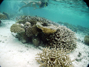 2007_maldive_2_109