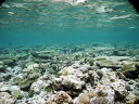 2007_maldive_2_111