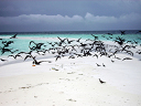 2007_maldive_2_221