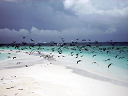 2007_maldive_2_222