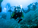maldive2007Fabri015