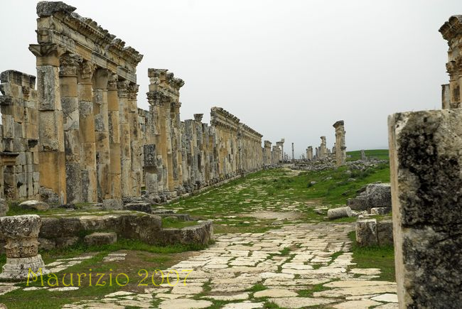 2007_siria_0951.jpg