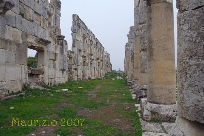 2007_siria_0953.jpg