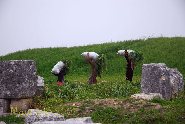 2007_siria_0972.jpg
