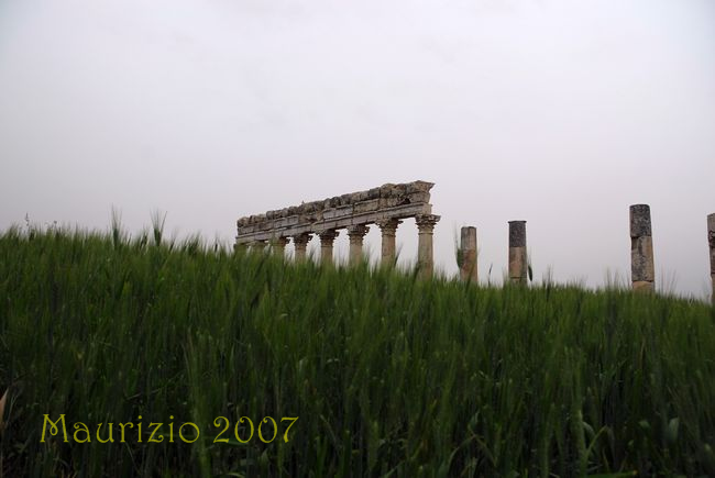 2007_siria_0984.jpg