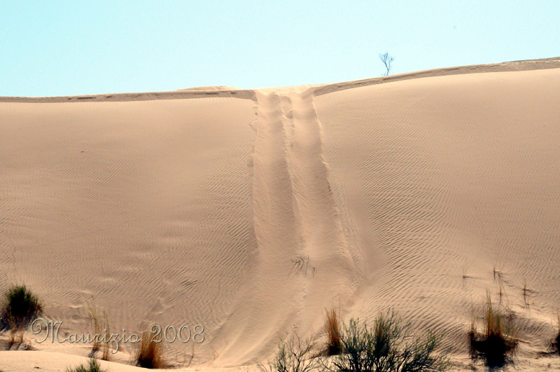 2008_tunisia_0338.JPG