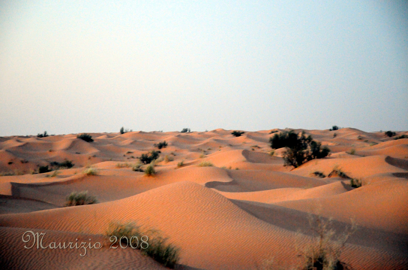 2008_tunisia_0433.JPG