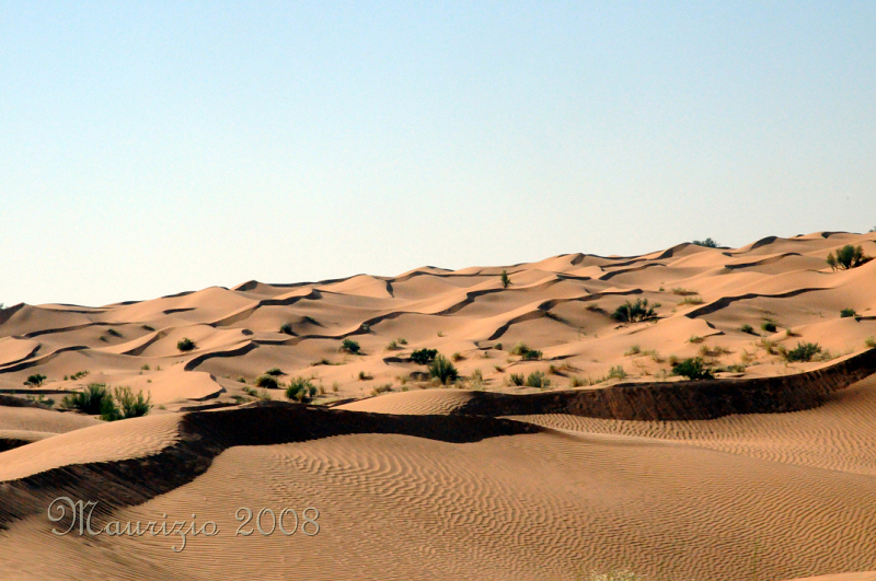 2008_tunisia_0459.JPG