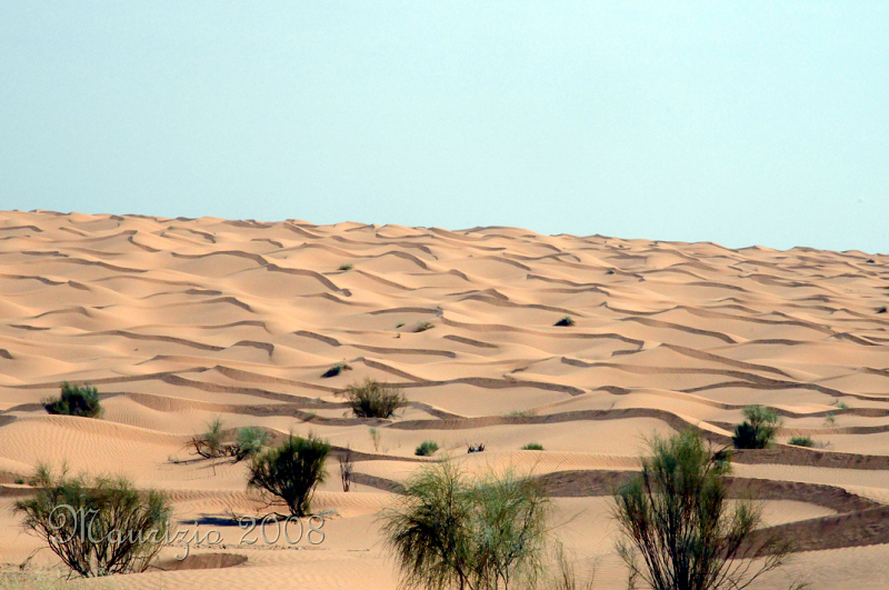 2008_tunisia_0462.JPG